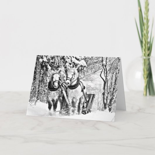 Erwachsenenfarben: Frohe Weihnachtskarte Feiertagskarte (Vorderseite)