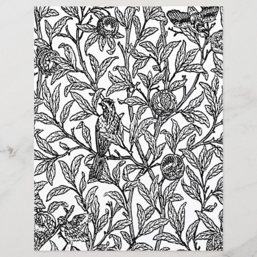 Erwachsenenfarbseite, Morris Bird & Pomegranat (Vorderseite)