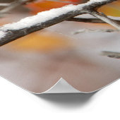 Erwachsenenkichade in Schwarz-Weiß, Grand Poster (Ecke)