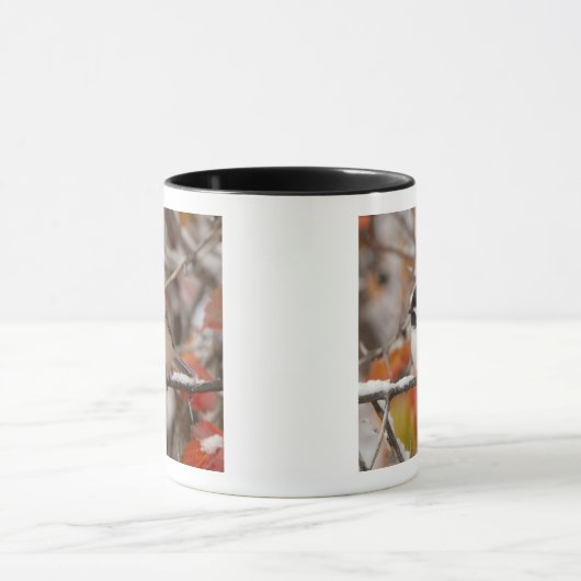 Erwachsenenkichade mit schwarzer Kappe im Schnee Tasse (Zentrum)