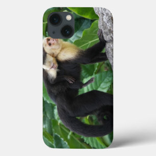 Erwachsener Capuchin-Affe-tragendes Baby auf Case-Mate iPhone Hülle