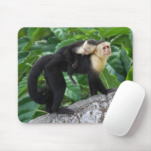 Erwachsener Capuchin-Affe-tragendes Baby auf Mousepad (Mit Mouse)