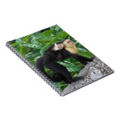 Erwachsener Capuchin-Affe-tragendes Baby auf Notizblock (Rechte Seite)