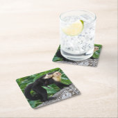 Erwachsener Capuchin-Affe-tragendes Baby auf Rechteckiger Pappuntersetzer (Vor Ort)