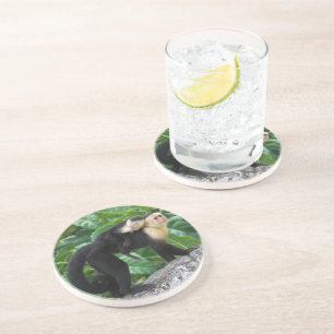 Erwachsener Capuchin-Affe-tragendes Baby auf Sandstein Untersetzer