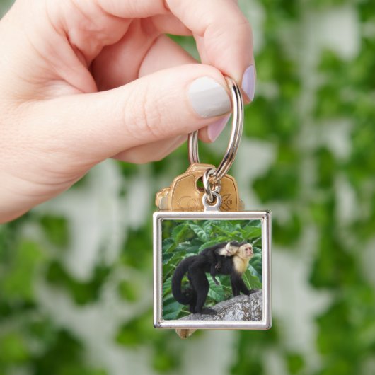 Erwachsener Capuchin-Affe-tragendes Baby auf Schlüsselanhänger (Hand)