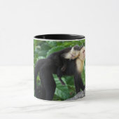 Erwachsener Capuchin-Affe-tragendes Baby auf Tasse (Zentrum)