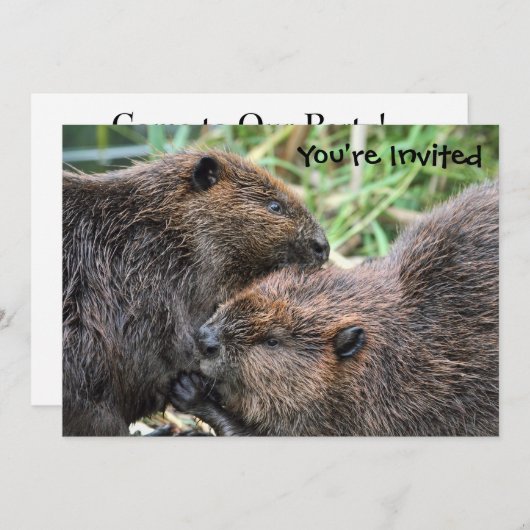 Erwachsener Einladung (Vorne/Hinten)