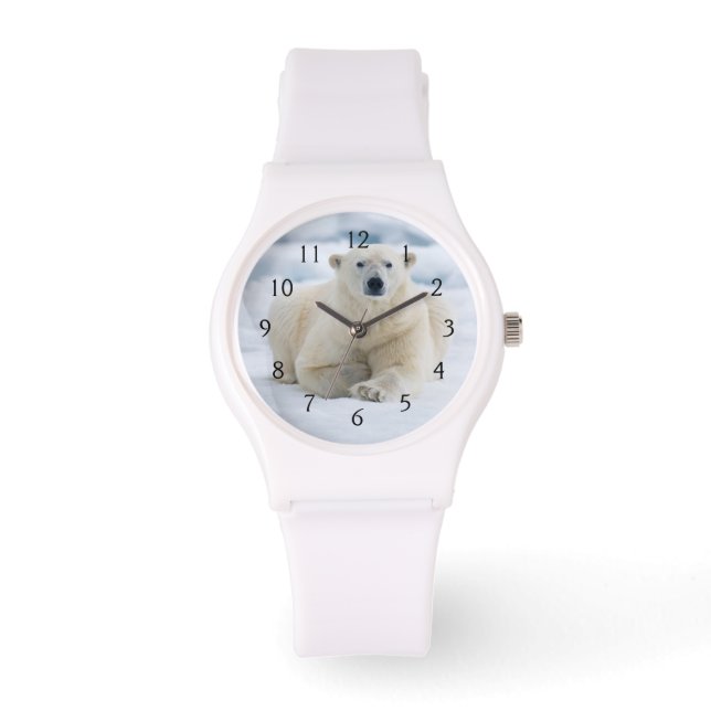 Erwachsener Eisbär auf dem Sommerpackeis Armbanduhr (Vorderseite)