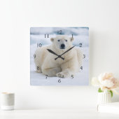 Erwachsener Eisbär auf dem Sommerpackeis Quadratische Wanduhr (Zuhause)