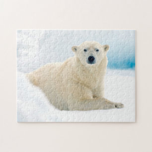 Erwachsener Eisbär großes männliches Tier auf dem  Puzzle