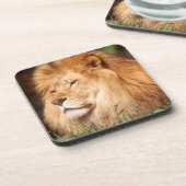 Erwachsener Getränkeuntersetzer (Linke Seite)