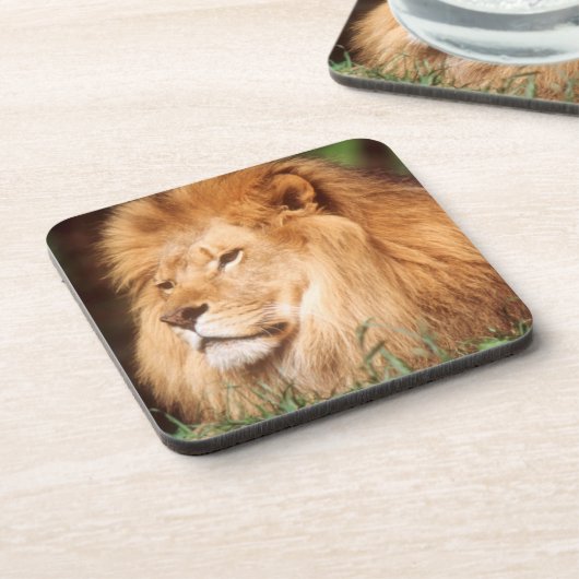 Erwachsener Getränkeuntersetzer (Linke Seite)