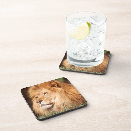 Erwachsener Getränkeuntersetzer (Rechte Seite)