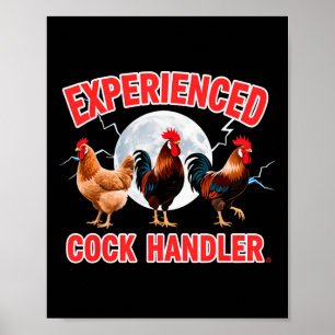 Erwachsener Humor Erfahrene Person ungeeignet beha Poster