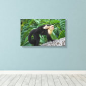 Erwachsener Kapuzineraffe, die ein Baby auf dem Rü Leinwanddruck (Insitu (Holzboden))