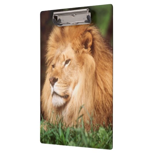 Erwachsener Klemmbrett (Links)