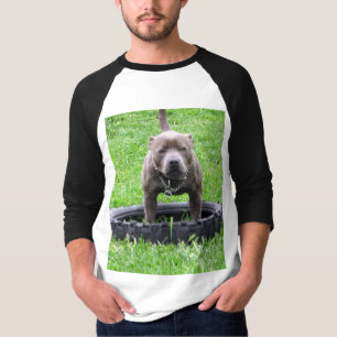 Erwachsener Male Staffordshire Bull Terrier, T-Shirt
