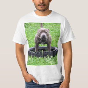 Erwachsener Male Staffordshire Bull Terrier, T-Shirt