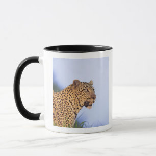 Erwachsener Mannesleopard (Panthera pardus) Tasse