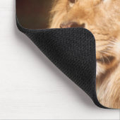 Erwachsener männlicher Löwe Mousepad (Ecke)
