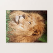 Erwachsener männlicher Löwe Puzzle (Horizontal)