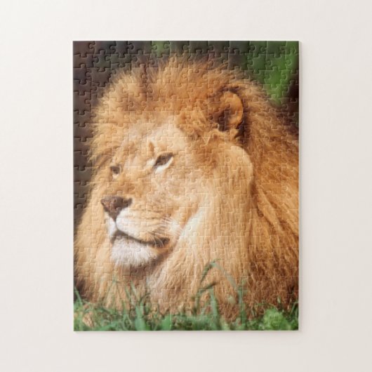 Erwachsener männlicher Löwe Puzzle (Vertikal)