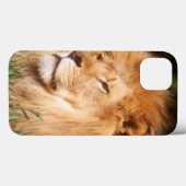 Erwachsener Mannlöwe Case-Mate iPhone Hülle (Rückseite (Horizontal))