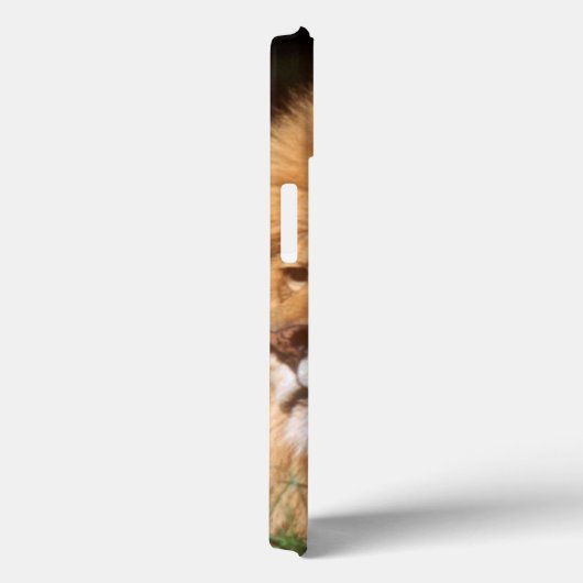 Erwachsener Mannlöwe Case-Mate iPhone Hülle (Rückseite / Rechts)