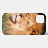 Erwachsener Mannlöwe Case-Mate iPhone Hülle (Rückseite (Horizontal))