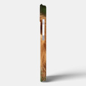 Erwachsener Mannlöwe Case-Mate iPhone Hülle (Rückseite / Links)