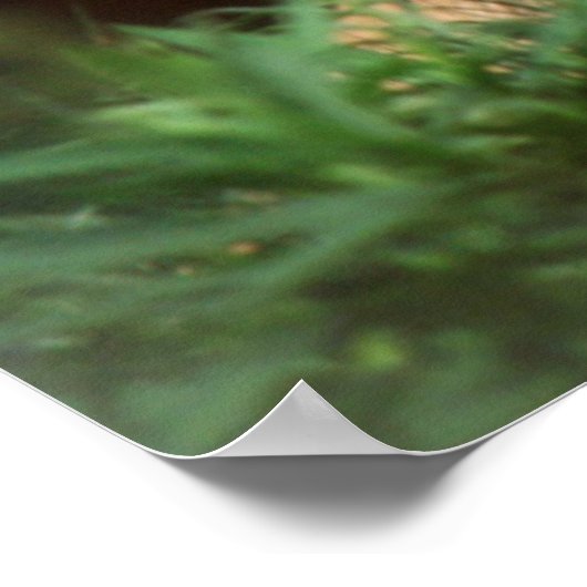 Erwachsener Poster (Ecke)