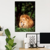 Erwachsener Poster (Heimbüro)