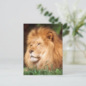 Erwachsener Postkarte (Stehend Vorderseite)