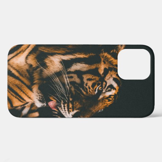 ERWACHSENER PRONE LYSIDE INNENDIM LIGHTED ZIMMER Case-Mate iPhone HÜLLE (Rückseite (Horizontal))