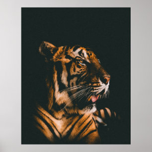 ERWACHSENER PRONE LYSIDE INNENDIM LIGHTED ZIMMER POSTER