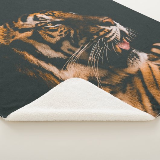 ERWACHSENER PRONE LYSIDE INNENDIM LIGHTED ZIMMER SHERPADECKE (3/4)