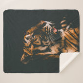 ERWACHSENER PRONE LYSIDE INNENDIM LIGHTED ZIMMER SHERPADECKE (Vorderseite (Horizontal))