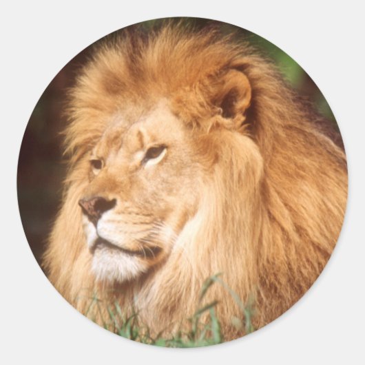 Erwachsener Runder Aufkleber (Vorderseite)