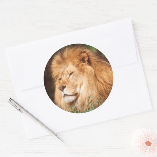 Erwachsener Runder Aufkleber (Umschlag)