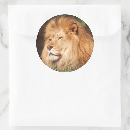 Erwachsener Runder Aufkleber (Tasche)