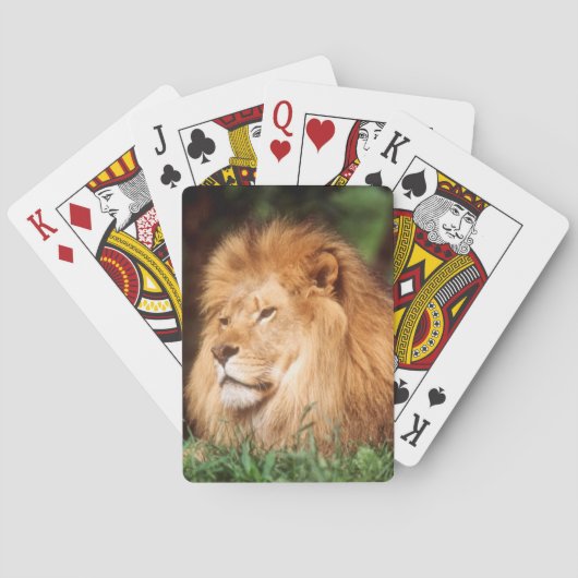 Erwachsener Spielkarten (Rückseite)