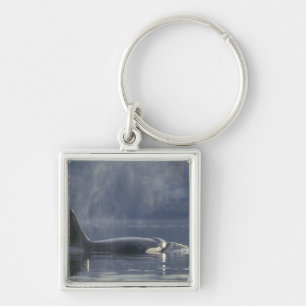 Erwachsener weiblicher Orca-Wal (Orcinus Orca), Pu Schlüsselanhänger