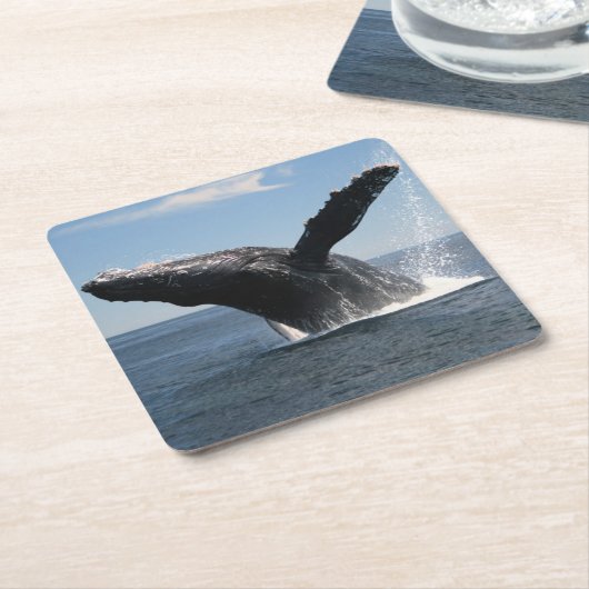 Erwachsenes Buckel-Wal-Durchbrechen Rechteckiger Pappuntersetzer (angewinkelt)