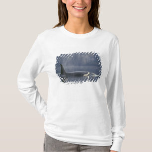 Erwachsenes weibliches Schwertwal (Orcinus Orca), T-Shirt