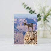 Erwägen des Abgrundes Postkarte (Stehend Vorderseite)