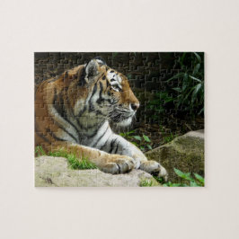 Erwägen des Tiger-Puzzlespiels Puzzle