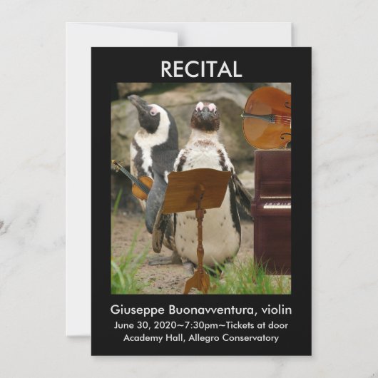 Erwägung Ankündigung, Pinguine, Strings, Piano Magneteinladung (Vorderseite)