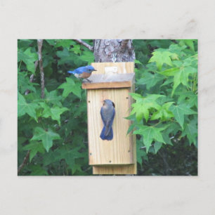 Erwärmung Postkarte