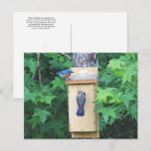 Erwärmung Postkarte (Vorne/Hinten)